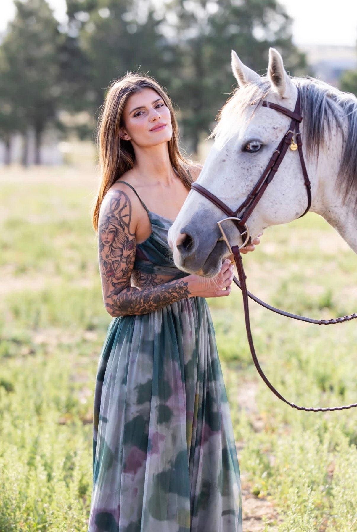 Wild Within coach with white horse