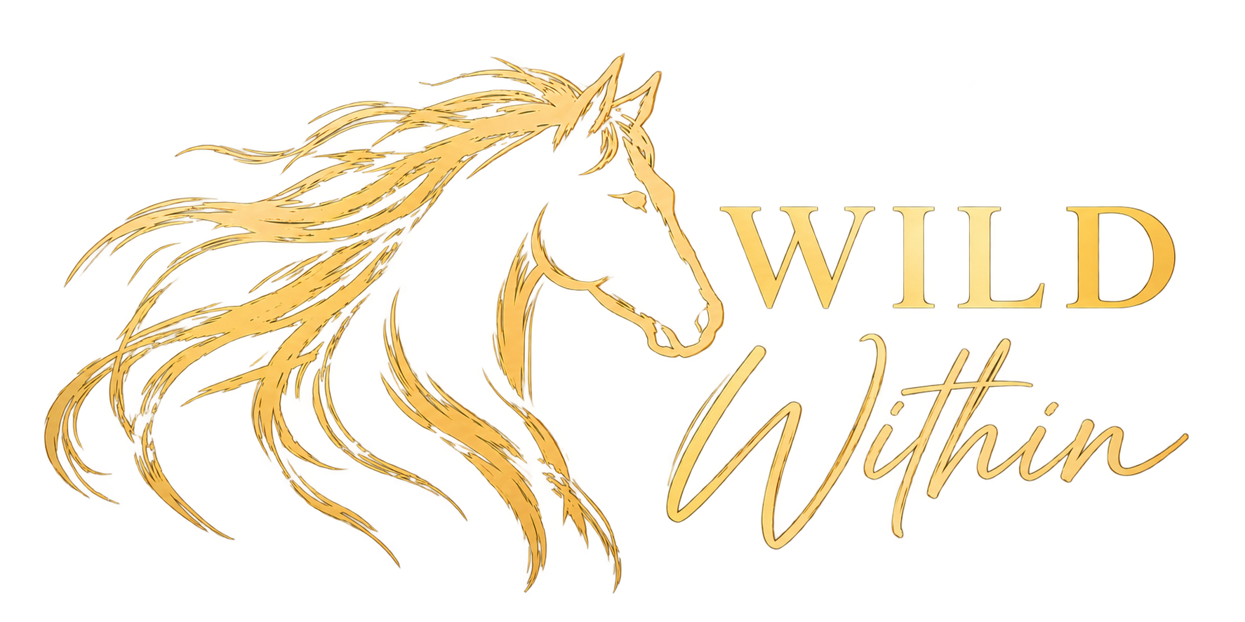 Wild Within coaching session