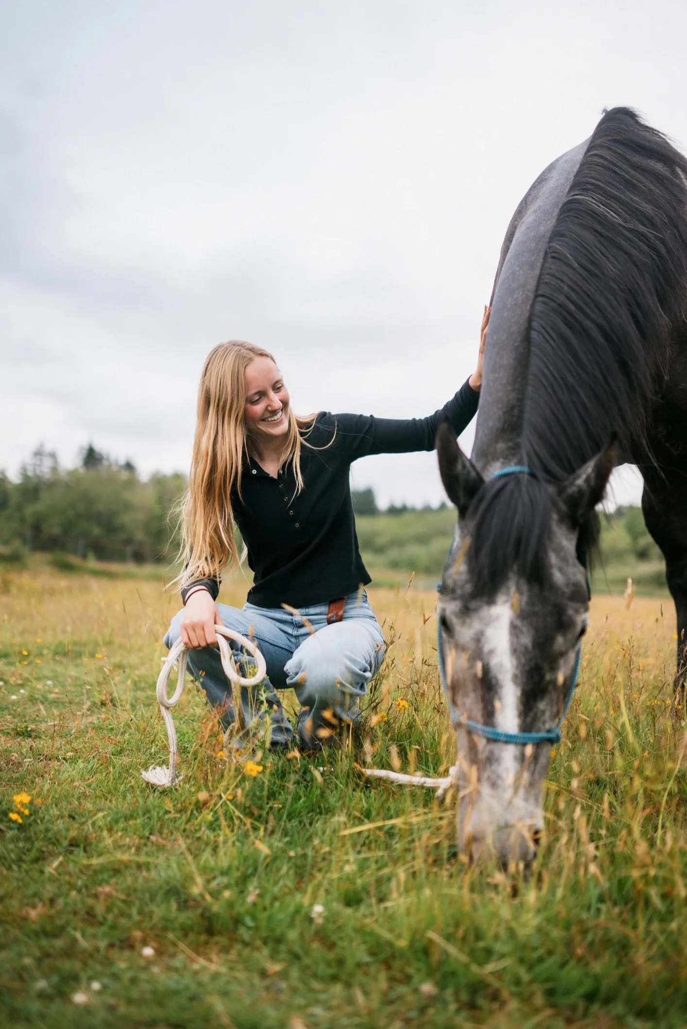 Wild Within coach with horse